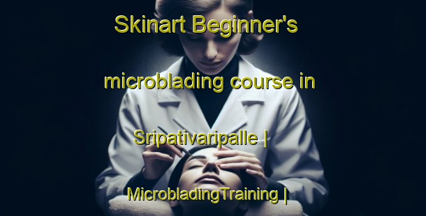 Skinart Beginner's microblading course in Sripativaripalle | MicrobladingTraining | MicrobladingClasses | SkinartTraining-India